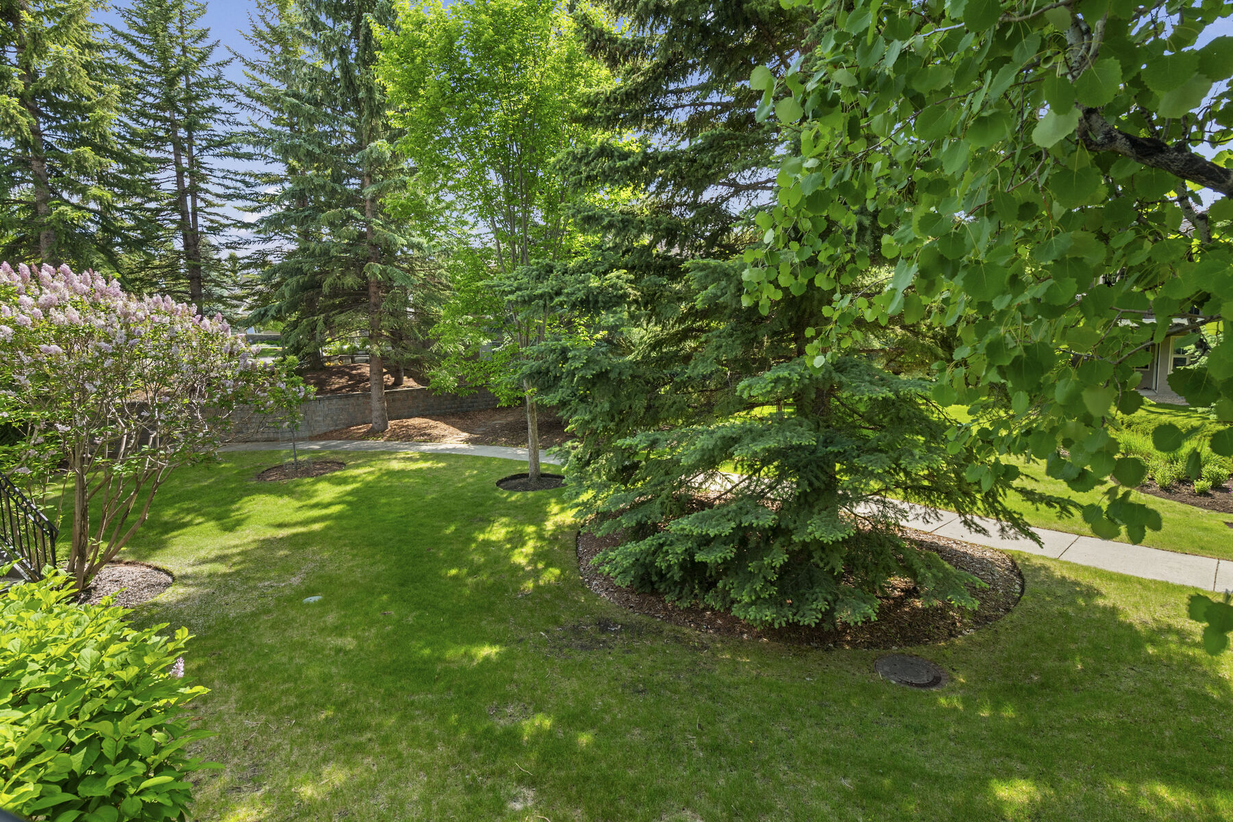 Mature Treed Landscaping Oasis